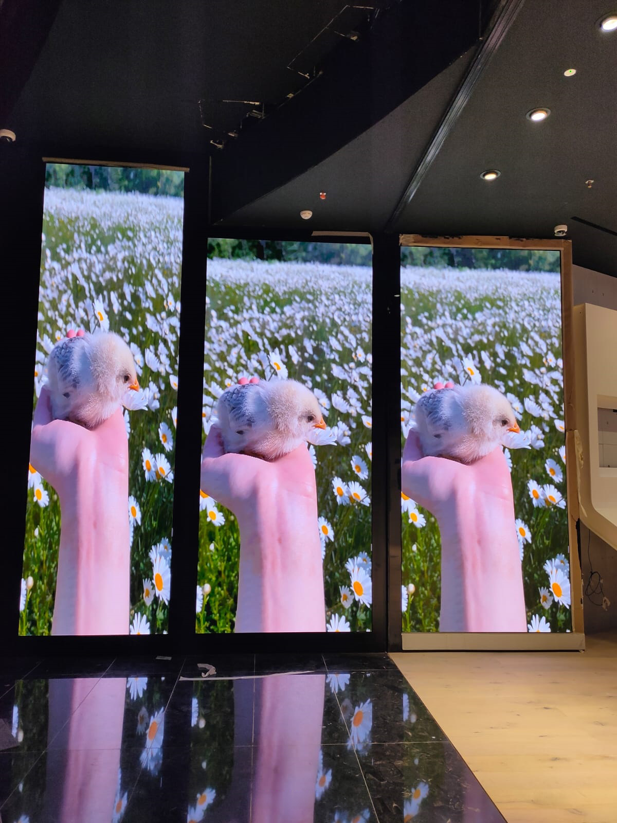 LED Display Projects, project 11